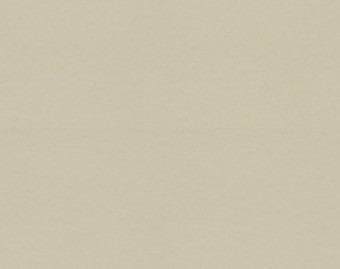 [1001111114_7] Surestep balance - 173342 limestone